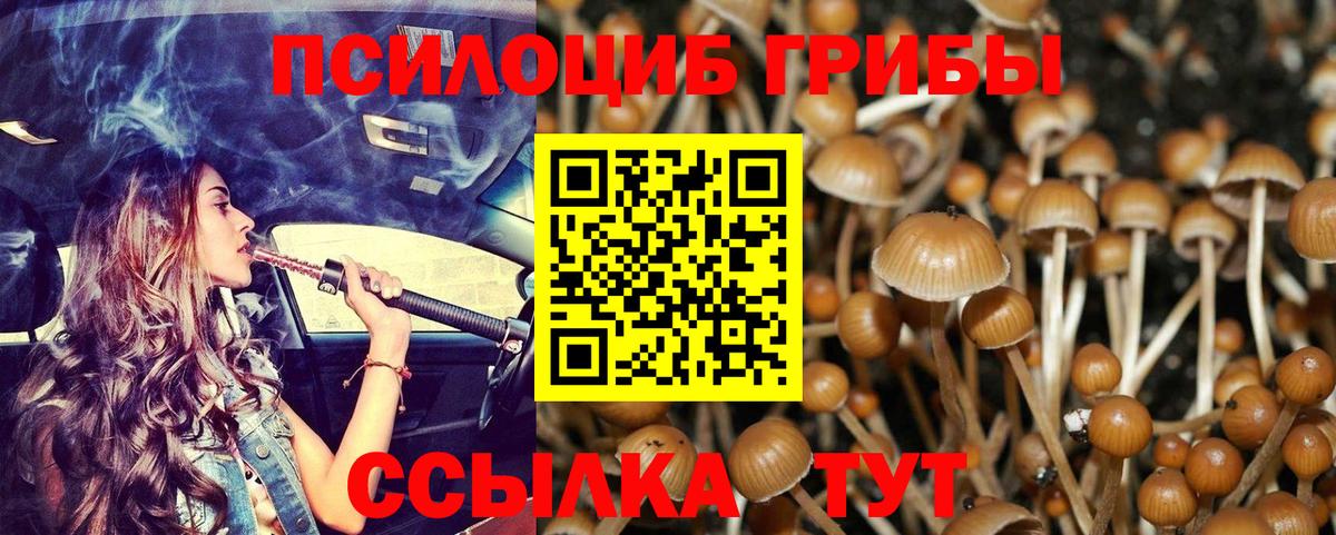 Дубна  Псилоцибиновые грибы GOLDEN TEACHER  Галлюциногенные грибы Psilocybe  Вход с VPN 