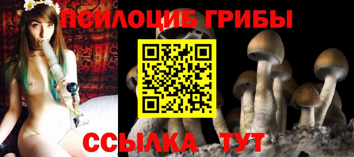 Псилоцибиновые грибы Magic Shrooms Дубна